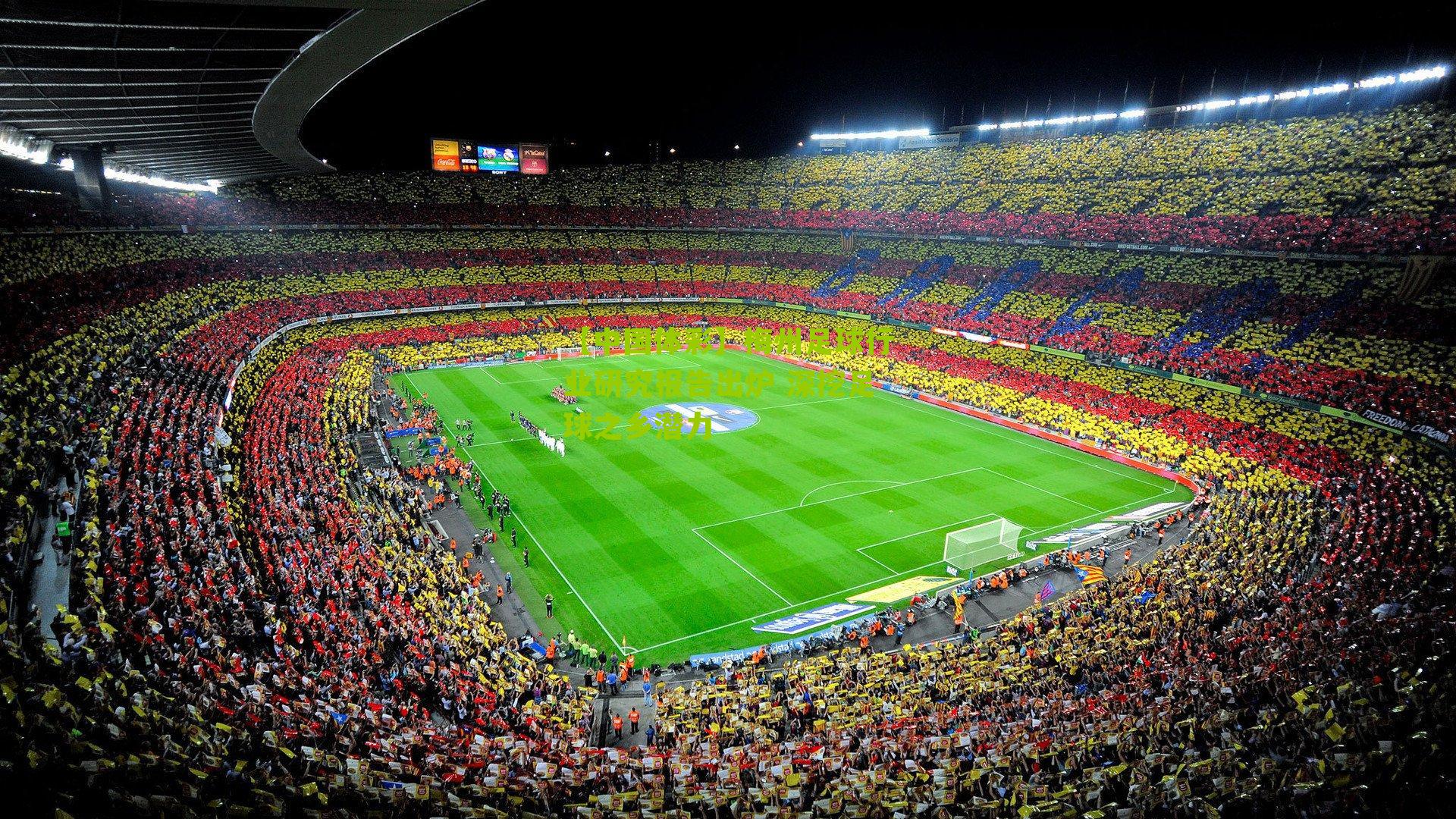 梅州足球行业研究报告出炉 深挖足球之乡潜力